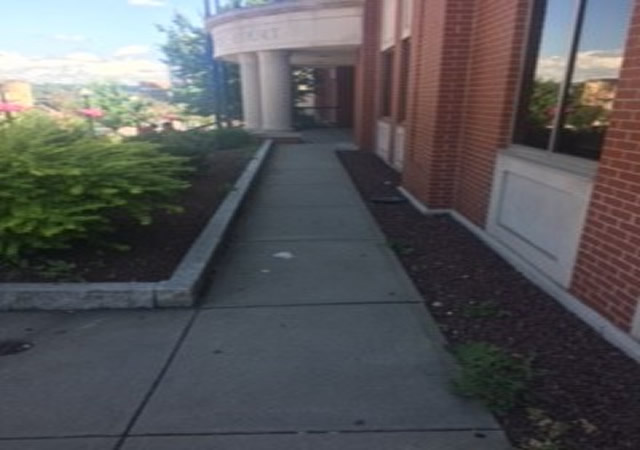 A ramp leading to the entrance of the Albany County Family Court. There are shrubs to the left and right of the ramp.