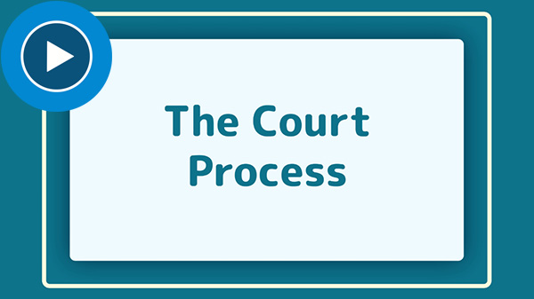 The Court Process